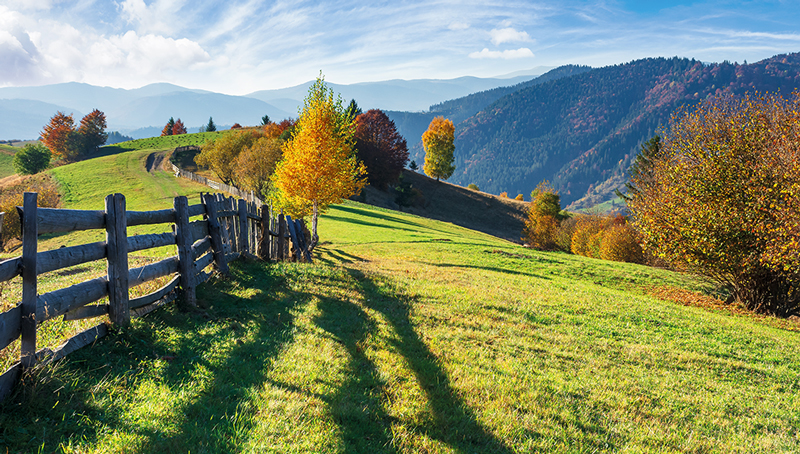 mesures-agroenvironnementales-et-climatiques-les-actions-d-animation-sont-reconduites-en-vue-de-la-prochaine-programmation-de-la-pac-6228cf0ba1da9886737281.jpg
