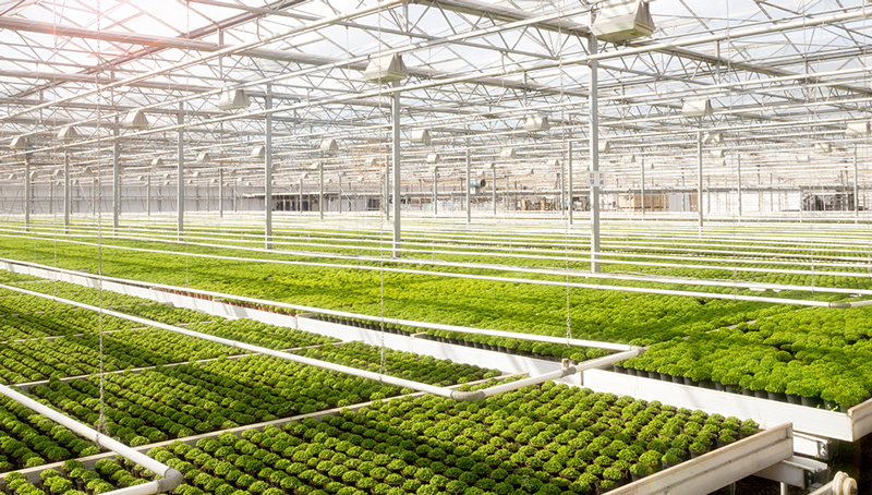 credit-import-agriculture-622f0f4a7f080965510606.jpg