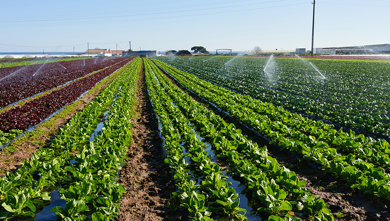 gestion-cooperative-risques-climatiques-622f162d6780a533294650.jpg