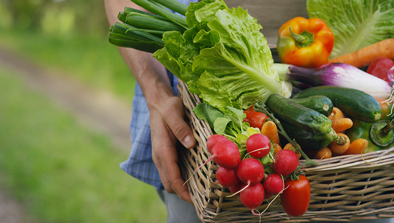 aides-couplees-vege-623052668f0aa838451665.jpg