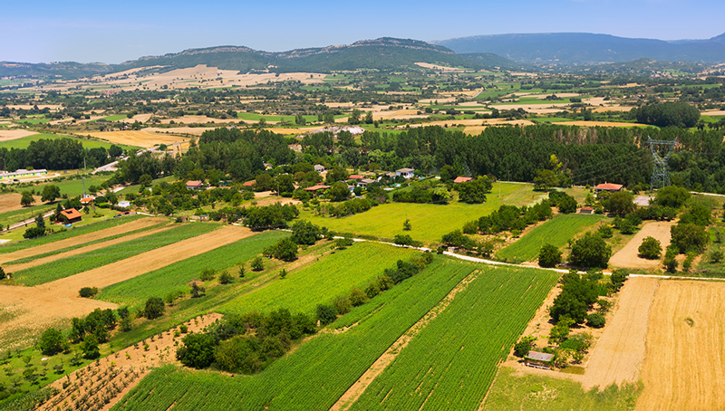 protection-des-plantations-6231e7c686a66706753583.jpg