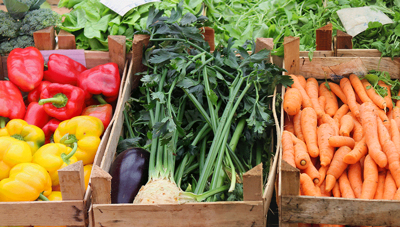 le-budget-alloue-au-volet-structuration-des-filieres-proteines-vegetales-6241bad5b3887428259525.png