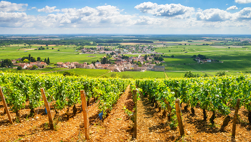 tractations-entre-la-commission-europeenne-et-la-france-627cff0eca353789625703.png