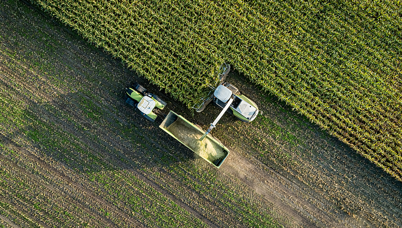icpe-agricoles-6299cca9737b8982835057.jpg