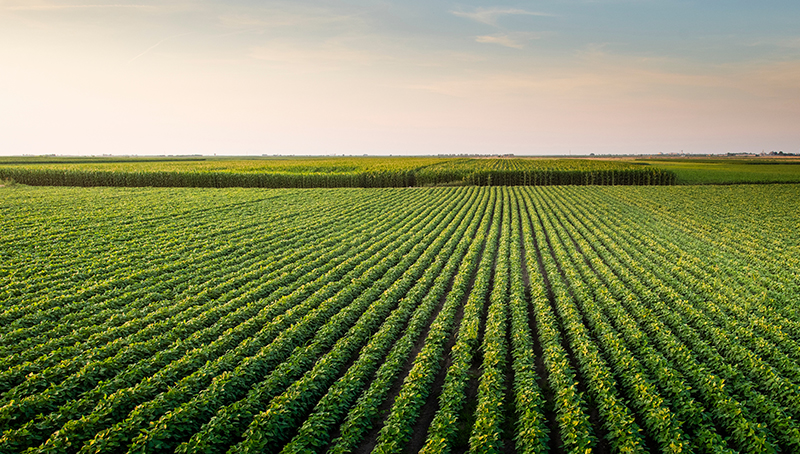 creation-de-plusierus-reseres-de-subsitutions-pour-irrigation-exploitation-agricoles-6464cd0708737653166080.jpg