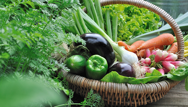 agriculture-biologique-interdiction-commercialisation-hiver-legumes-ete-cultives-sous-serre-chauffee-levee-64a2ba4caa685715649738.jpg